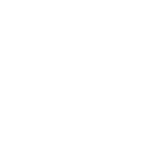 SYMBOL 500*500 WHITE transparent